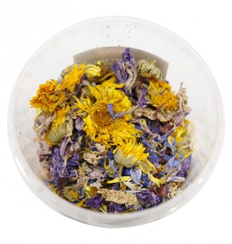 Mix of Dried flowers