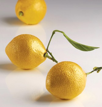 Moule Silicone Pavoni - Citron - Cédric Grolet