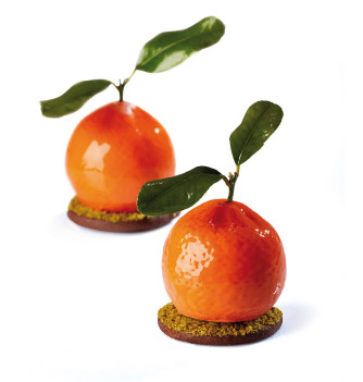 Silicone Mould - Pavoflex Tangerine - Emmanuel Forcone