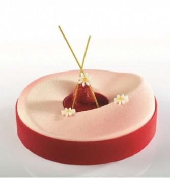 Moule Silicone Pavocake - Dune