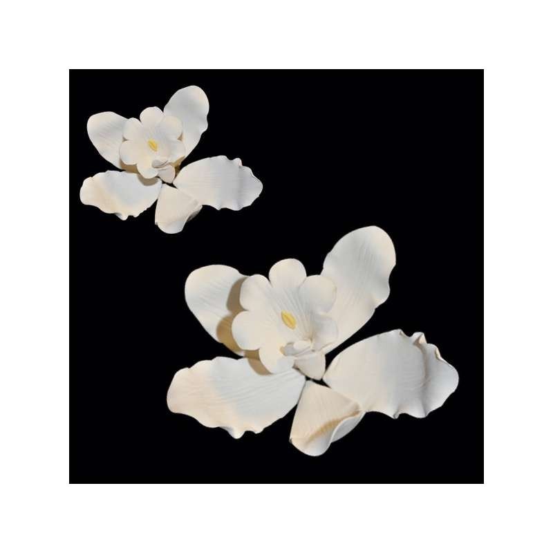 Gumpaste Flowers - White Orchid diam.80mm