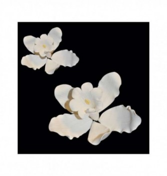 Fleur en Pastillage Orchidée Blanche