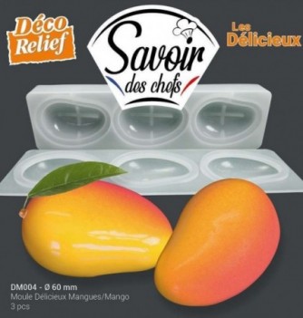 Moule Silicone Mangue Ø60mm