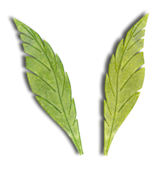 Feather Leaves (200mm) - Silicone Print