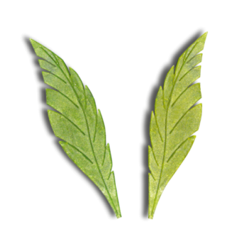 Feather Leaves (150mm) - Silicone Print
