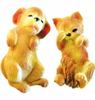 CHIOT + CHAT