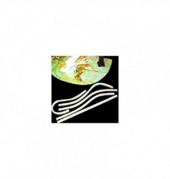 Barre en Silicone pour Sucre Coulé Kit 5 Pièces