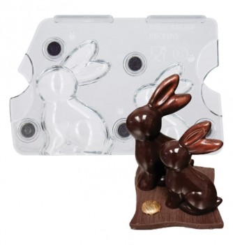 Duo rabbit Injected mold