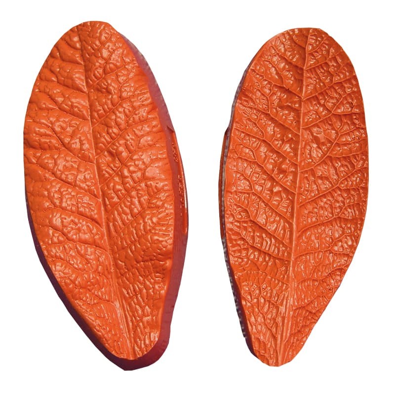 Silicone Mold - Primrose Leaf