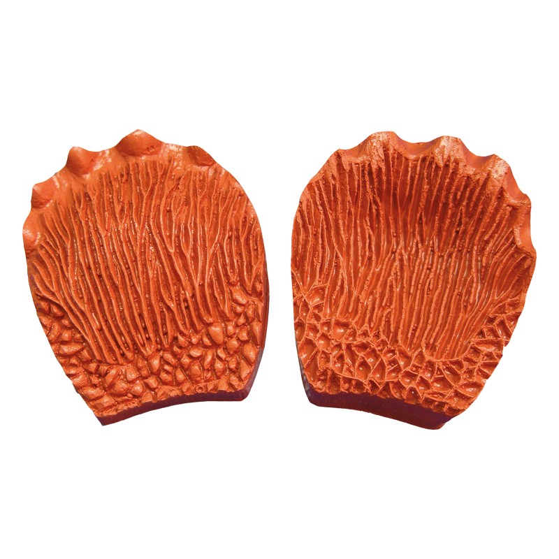 Empreinte Silicone Feuille Cactus