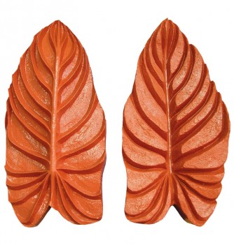 Empreinte Silicone Feuille Caladium