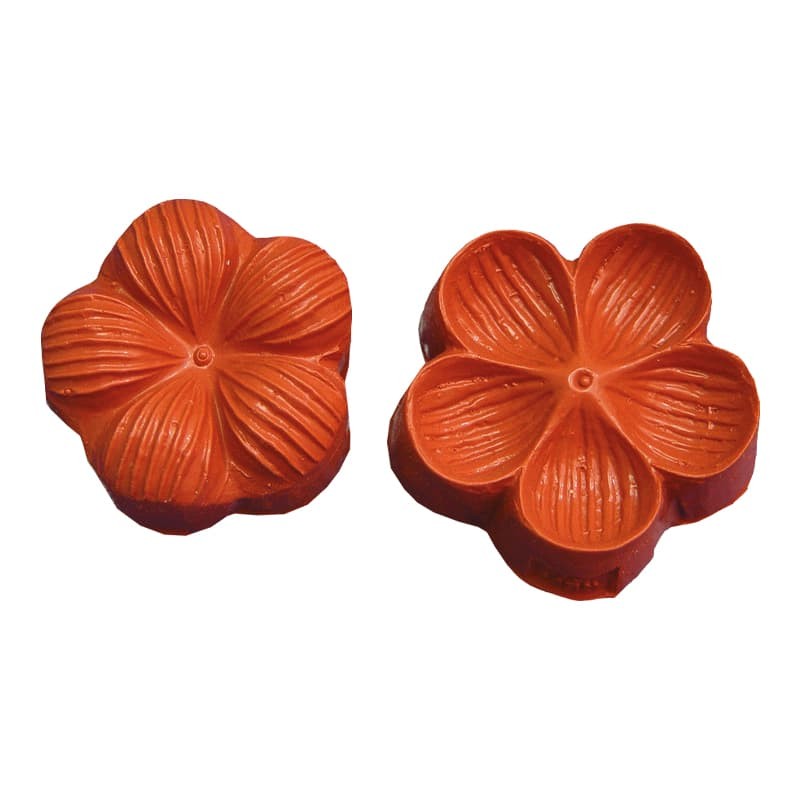 Moule Silicone fleurs