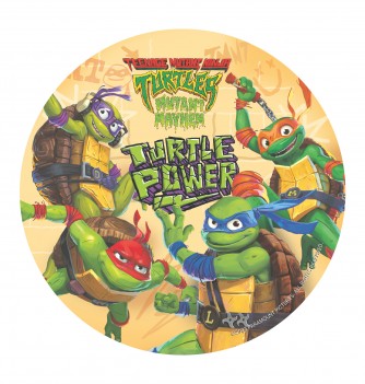 Disque Azyme pour Gâteau - Tortues Ninja - Ø 20cm