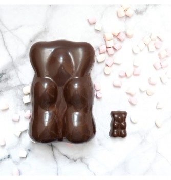 Moule chocolat ourson 3D